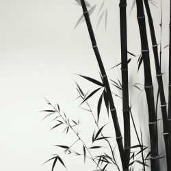 Cabinet libéral ou paramédical - Energétique Traditionnelle Chinoise - Mathieu Tournebise Energétique chinoise