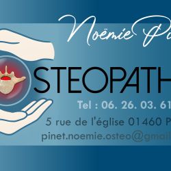 Cabinet libéral ou paramédical - Ostéopathie - Cabinet d'Ostéopathie Mme PINET Noëmie 