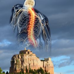 Cabinet libéral ou paramédical - Ostéopathie - Roncaglia Sébastien Ostéopathe à Vitrolles