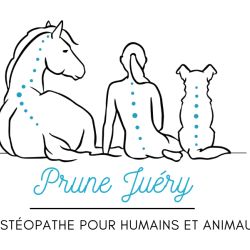 Prune JUÉRY - Ostéopathe