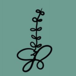 Cabinet libéral ou paramédical - Ostéopathie - Marine BATAILLE