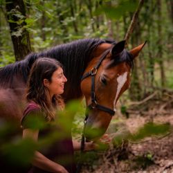 Cabinet libéral ou paramédical - Thérapie holistique - Marie Lombard, Thérapeute Holistique, Dorlisheim