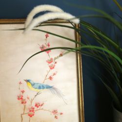 Cabinet libéral ou paramédical - Psychanalyse - Cabinet MCaudal