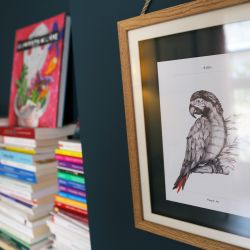 Cabinet libéral ou paramédical - Psychanalyse - Cabinet MCaudal