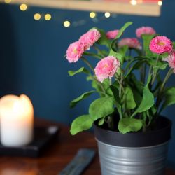 Cabinet libéral ou paramédical - Psychanalyse - Cabinet MCaudal