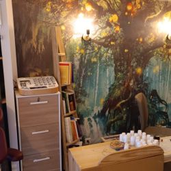 Cabinet libéral ou paramédical - Cabinet de médecine chinoise et ostéopathie