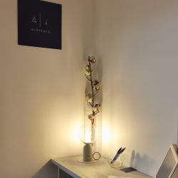 Cabinet libéral ou paramédical - Consultant en problématique capillaire - Cabinet Capillaire ALÔPEKIA | Bilan, Soins Cheveux & Luminothérapie | Grésy-sur-Aix | Aix-les-Bains, Chambéry, Annecy