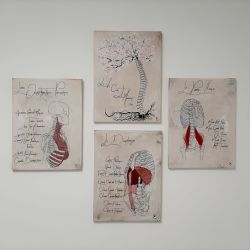 Cabinet libéral ou paramédical - Ostéopathie - Nicolas STEBAN OSTEOPATHE D.O