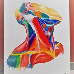 Cabinet libéral ou paramédical - Ostéopathie - Nicolas STEBAN OSTEOPATHE D.O