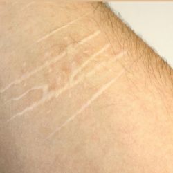 Cabinet libéral ou paramédical - L'ATELIER ROSE