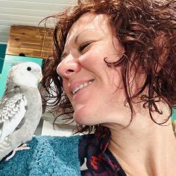 Cabinet libéral ou paramédical - Psychopédagogie - Le Refuge Scolaire : Psychopédagogue et Orthopédagogue 