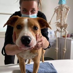 Cabinet libéral ou paramédical - Ostéopathie - Cabinet d'ostéopathie du Fleix (24)