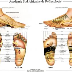 Cabinet libéral ou paramédical - Réflexologie - Céline CRESPO Réflexologue