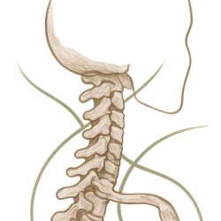 Cabinet libéral ou paramédical - Ostéopathie - Cabinet ostéopathique Laura Renaud