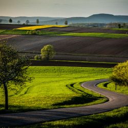Cabinet libéral ou paramédical - Ostéopathie - Ostéopathie Oberbronn Firniss
