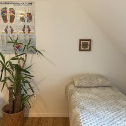 Cabinet libéral ou paramédical - Réflexologie - Terre Emerose Réflexologie