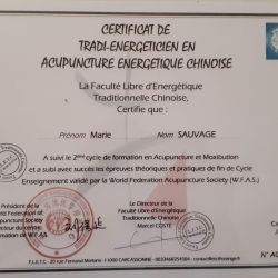 Marie SAUVAGE - Energétique Traditionnelle Chinoise