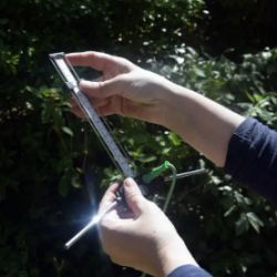 Jannine DELDREVE - Energétique Traditionnelle Chinoise