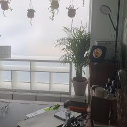 Christelle FERRAPIE - Naturopathe