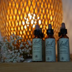 Déborah BENDAOUD - Naturopathe