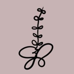 Marine BATAILLE - Ostéopathe