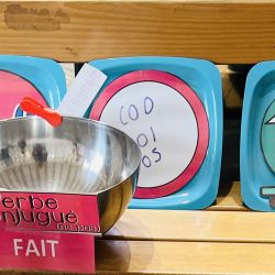 Julie TOSATTO - Psychopédagogue